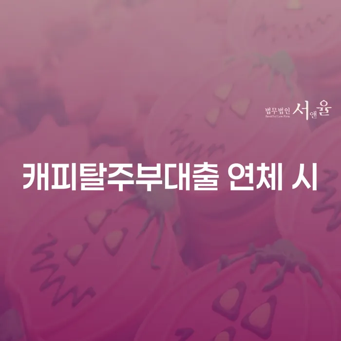 개인파산신청자격 채무조정제도을 이용하여 채무조정제도를 이용