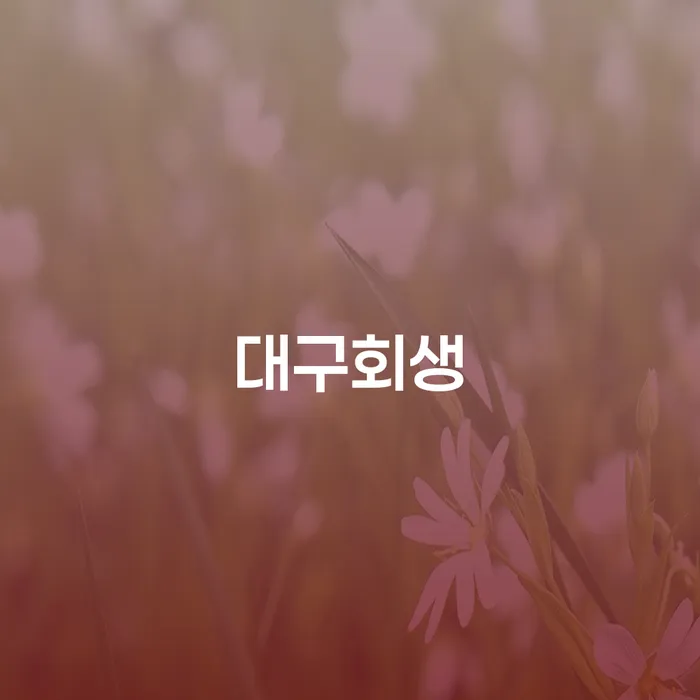 신용불량자자동차 대출 받은 돈채무조정 해결하고 싶다면