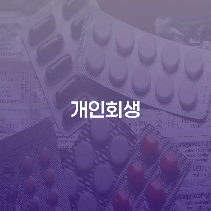 신용회복위원회채무조정 개인회생,개인파산으로 사례확인하고