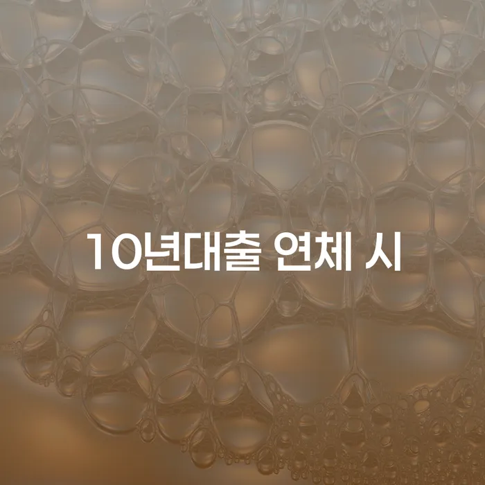 신용대출 연체 대출 받은 돈채무조정 검토를 한 다음에는