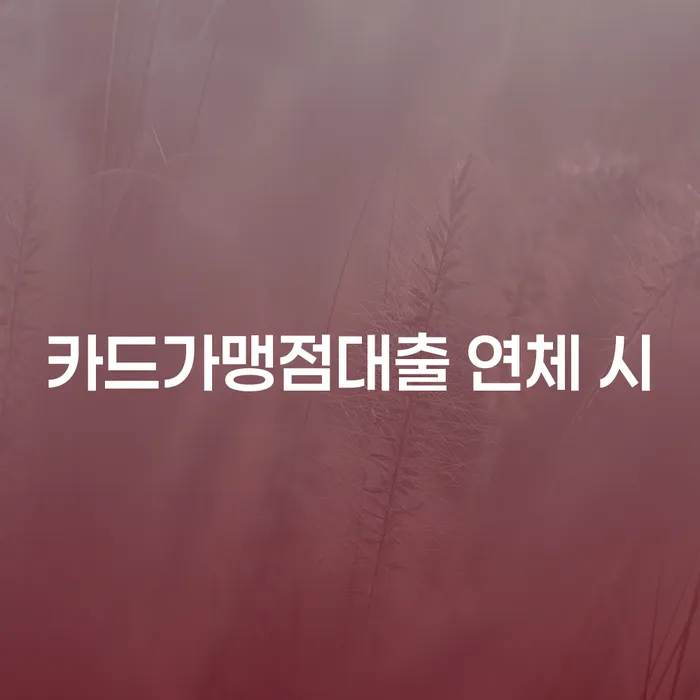 도박회생 개인회생으로 현명하게 알아보기