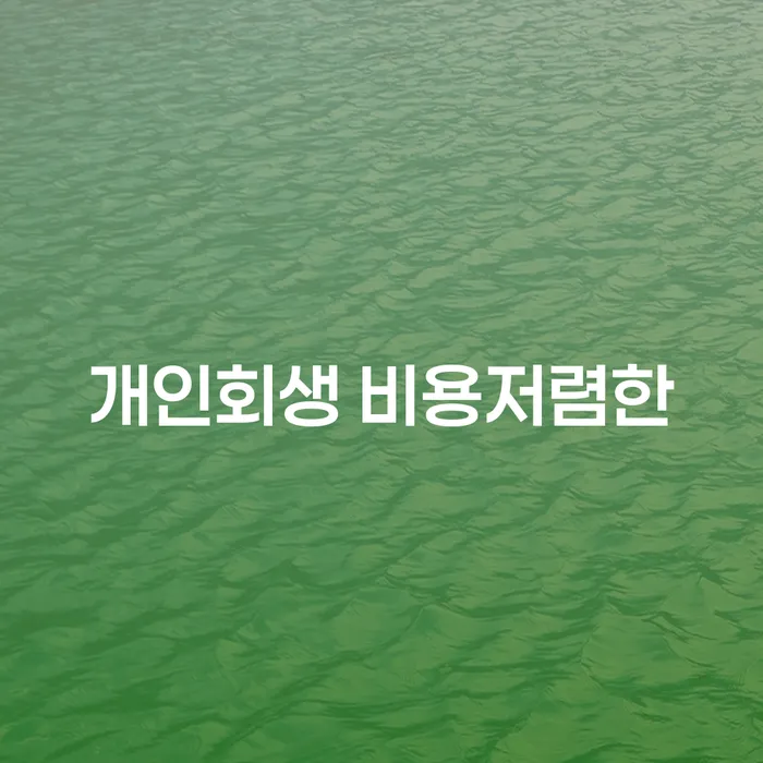 익산시 개인회생파산 대출 받은 돈채무조정 상담받아보기