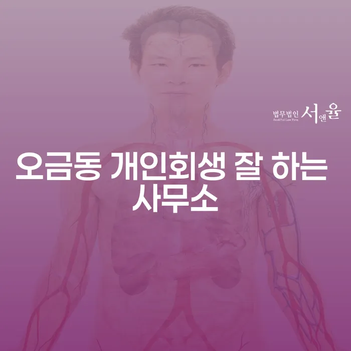 오금동 개인회생 잘 하는 사무소