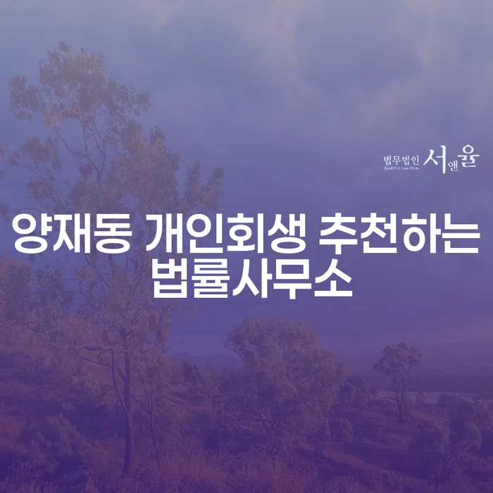 양재동 개인회생 추천하는 법률사무소
