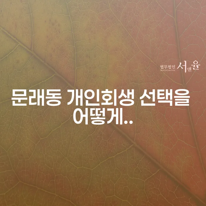 문래동 개인회생 선택을 어떻게..