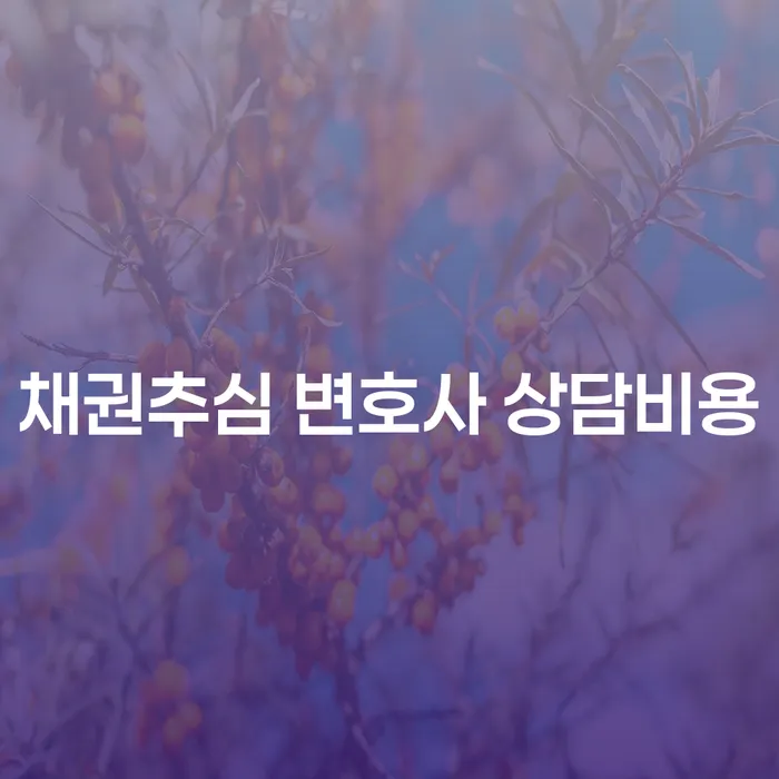 채권추심 변호사 상담비용, 어떻게 해야 할까요?
