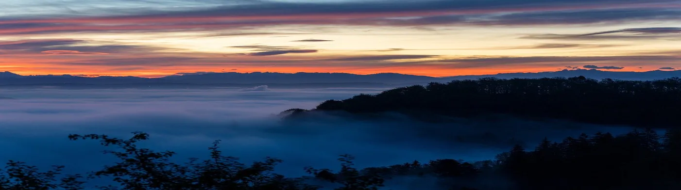 법무법인 서앤율