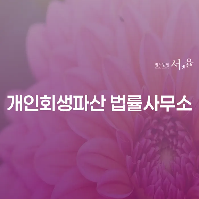 영월군 개인회생파산 법률사무소의 전문적인 도움을 통한 경제적 재기