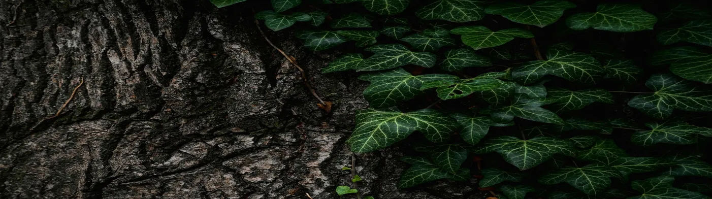 법무법인 서앤율