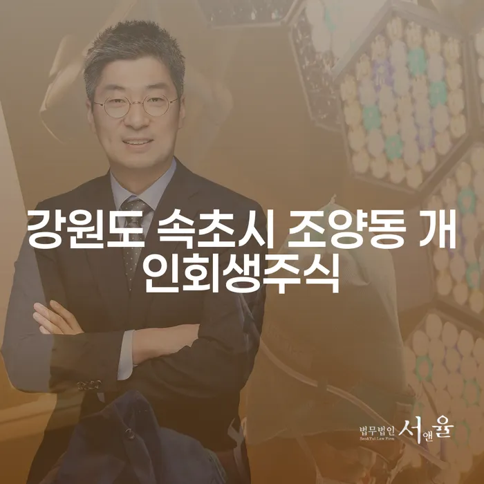 강원도 속초시 조양동에서 개인회생을 고려해야 하는 이유는?