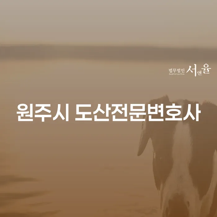 원주시 도산전문변호사와 함께하는 개인회생과 파산의 길잡이