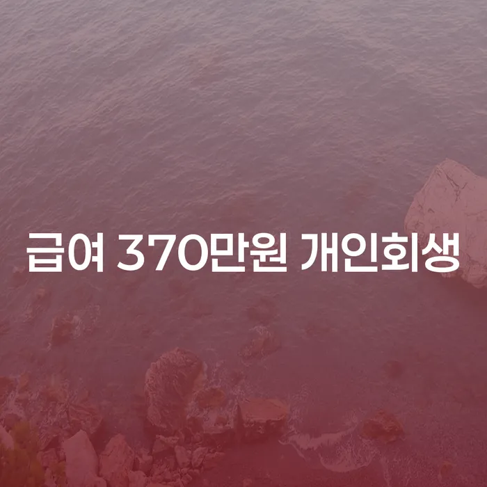 어떻게 급여 370만원으로도 개인회생이 가능할까요?