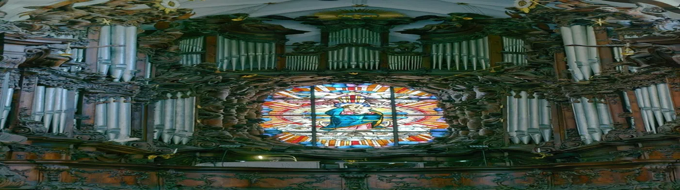 법무법인 서앤율