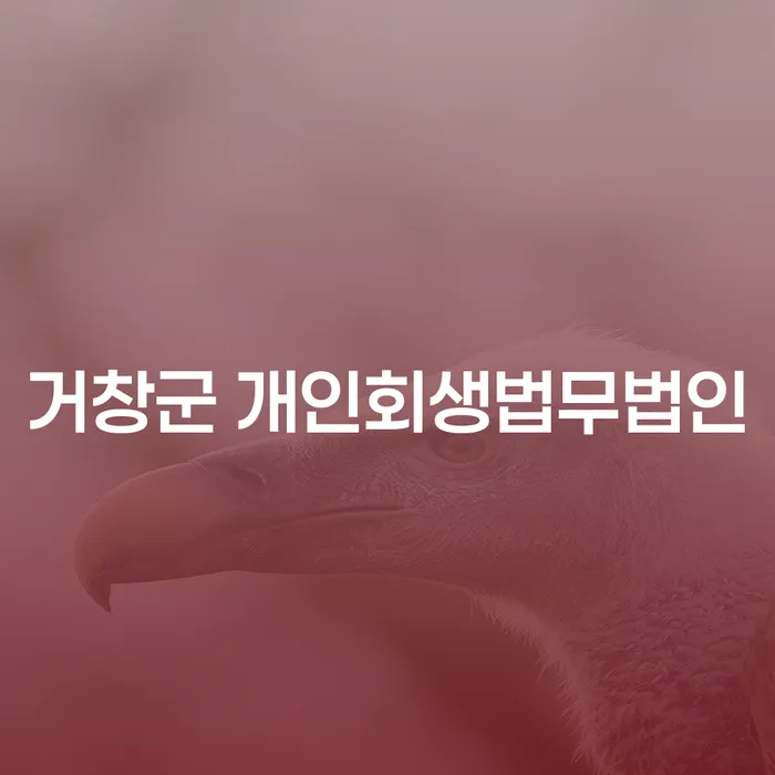 어떻게 거창군 개인회생법무법인을 통해 채무 문제를 해결할 수 있을까요?