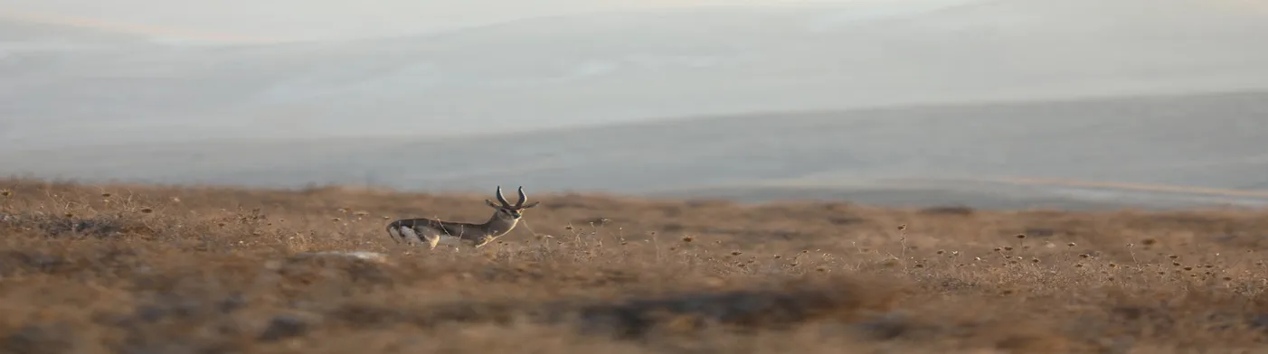 법무법인 서앤율